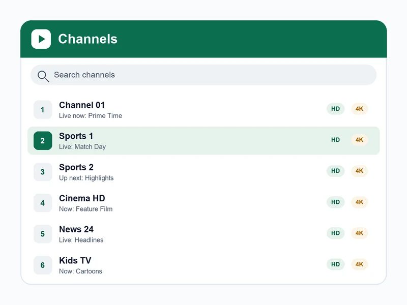 IPTV player channel list interface