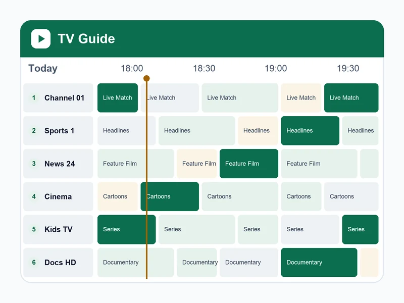IPTV player EPG programme guide interface